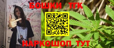 ешки Новодвинск