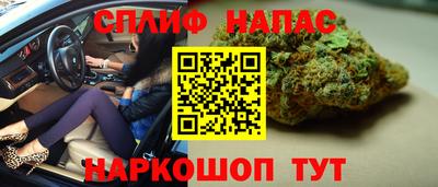 ешки Новодвинск
