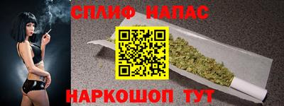 ешки Новодвинск
