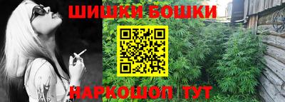 твердый Новозыбков